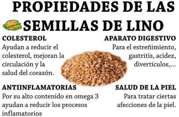 Semilla de Lino Dorado 1 kg